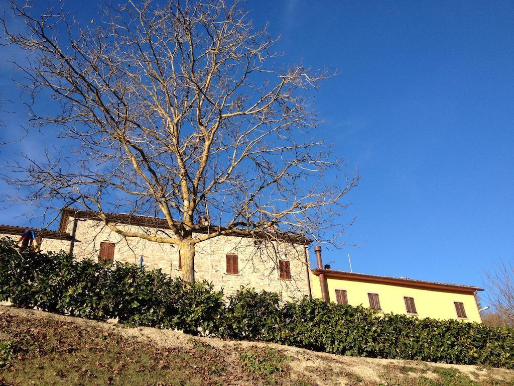 Agriturismo Cailuca Pietralunga  Exterior foto