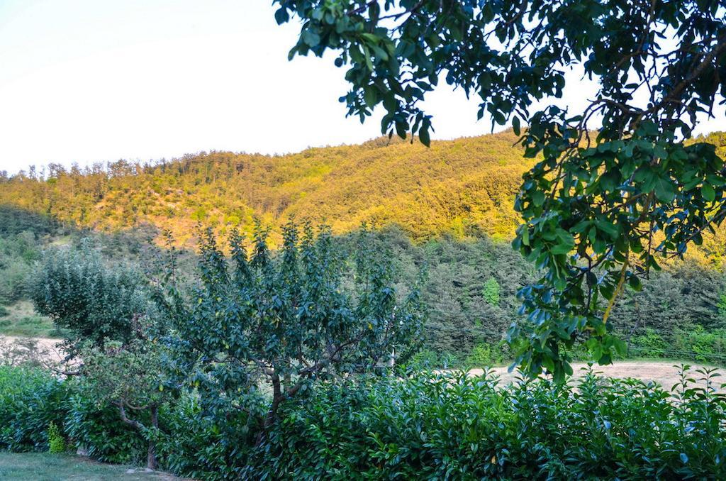 Agriturismo Cailuca Pietralunga  Exterior foto